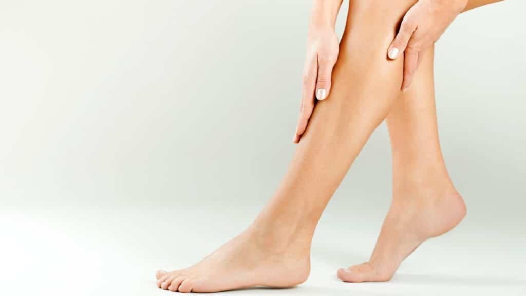 Circulação Sanguinea